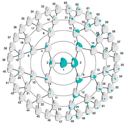 Six NSCL/P Loci Show Associations With Normal-Range Craniofacial Variation